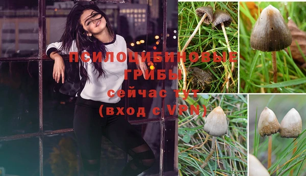 скорость mdpv Коряжма