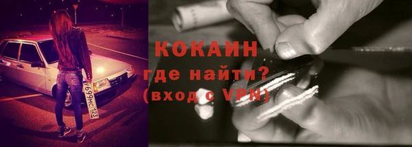 прущие грибы Костерёво