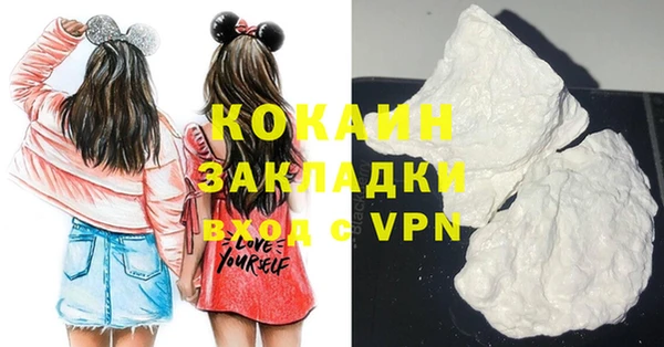 прущие грибы Костерёво