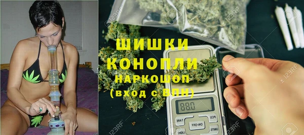 мдпв Корсаков