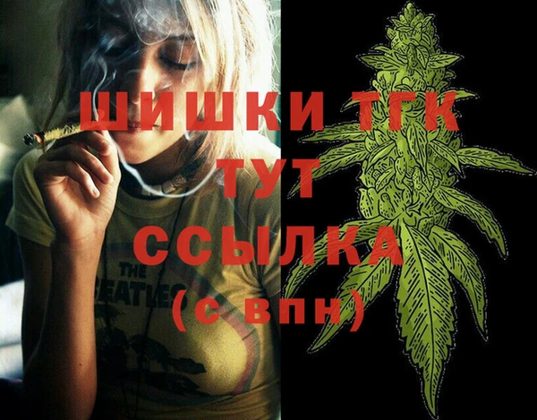 прущие грибы Костерёво