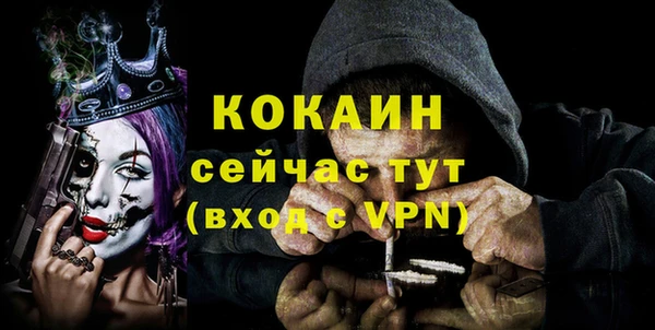 прущие грибы Костерёво