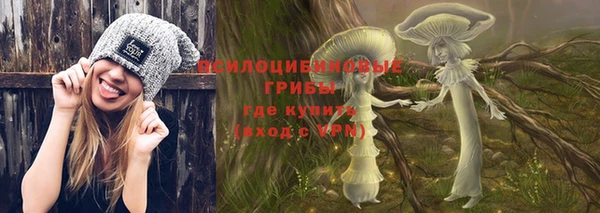 прущие грибы Костерёво